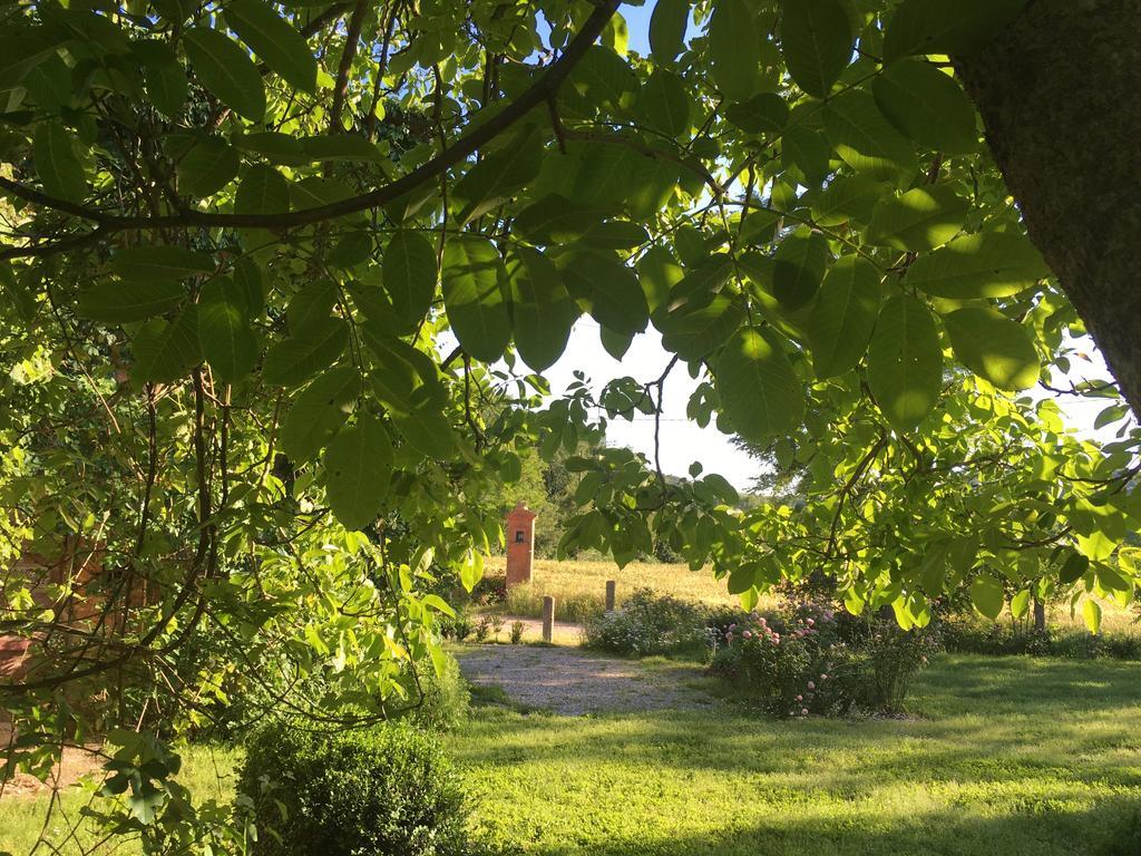 Villa Capannacce Organic And Horse Farm Rapolano Terme Exterior foto
