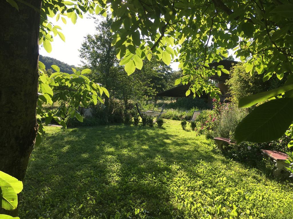 Villa Capannacce Organic And Horse Farm Rapolano Terme Exterior foto